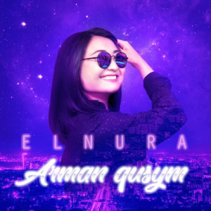 Песня Елнура Шаймұқанова – Арман құсым
