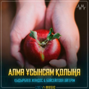 Песня Қыдырбаев Жандос & Бәйсейітова Әйгерім – Алма ұсынсам қолыңа
