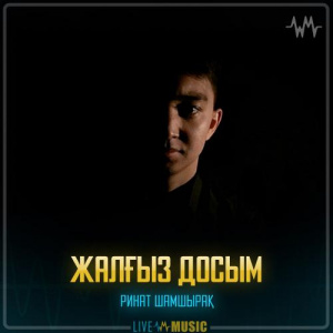 Песня Ринат Шамшырақ – Жалғыз досым
