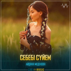Песня Айдана Меденова – Себебі сүйем