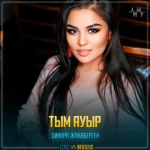 Песня Динара Жаңаберген – Тым ауыр