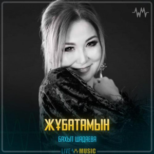 Песня Бахыт Шадаева – Жұбатамын