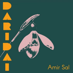 Песня Amir Sal – Darıdaı