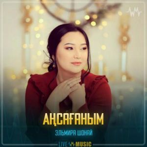 Песня Эльмира Шонай – Аңсағаным
