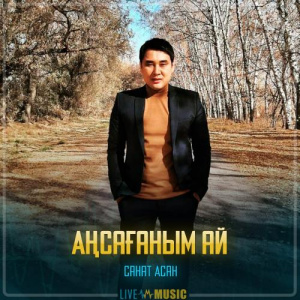 Песня Санат Асан – Аңсағаным ай