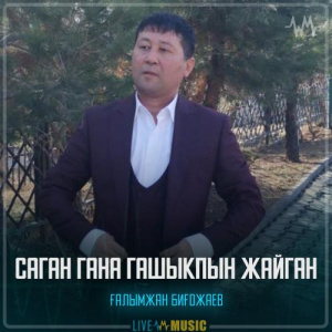 Песня Ғалымжан Биғожаев – Саған ғана ғашықпын жайғана
