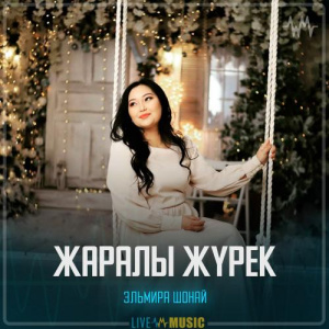 Песня Эльмира Шонай – Жаралы жүрек