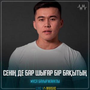 Песня Мұса Бауыржанұлы – Сенің де бар шығар бір бақытың