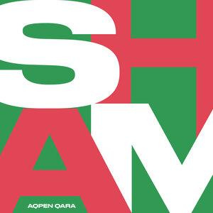 Песня Aqpen Qara – Sham