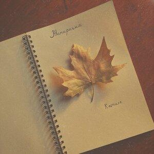 Песня Kosmuse – Жапырағым