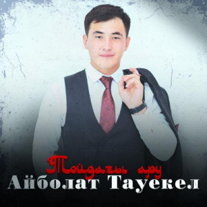 Песня Айболат Тәуекел – Тойдағы ару