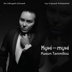 Песня Ринат Тәттібай – Күні-түні