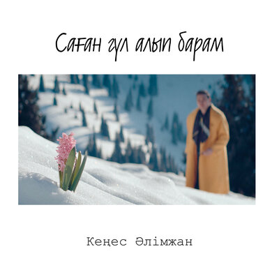 Песня Кеңес Әлімжан – Саған гүл алып барам