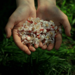 Песня Gaarah – Bir jaqty mahabbat