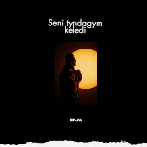 Песня NY-ZA – Seni tyndagym keledi