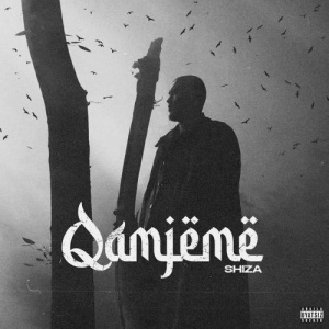 Песня Shiza – Qamjeme