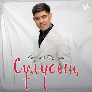 Песня Еренгаипов Нұрболат – Сұлусың