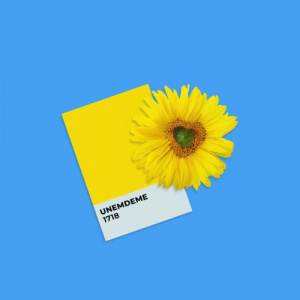 Песня Narul – Unemdeme