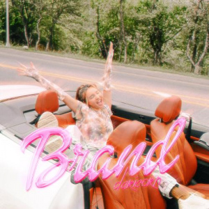 Песня DARICORN – Brand