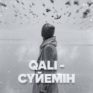 Песня Qali – Сүйемін