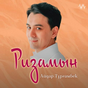 Песня Айдар Тұрғамбек – Ризамын