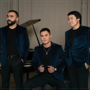 Песня Дамир Сансызбай – Көп досым бар