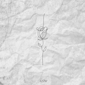 Песня Aldi – Sagynu