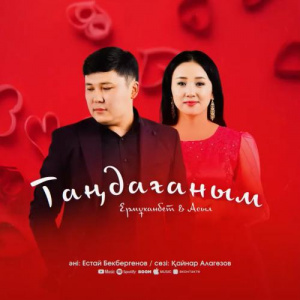 Песня Ермұханбет & Асыл – Таңдағаным