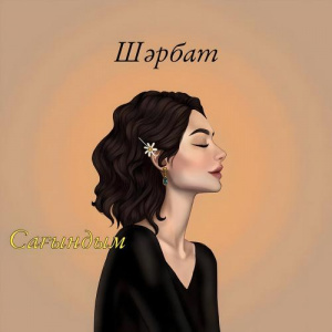 Песня Шәрбат – Сағындым