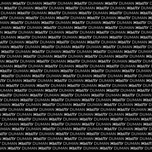 Песня Duman – Жылу