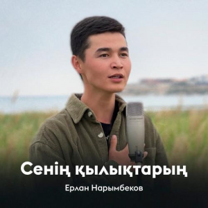 Песня Ерлан Нарымбеков – Сенің қылықтарың
