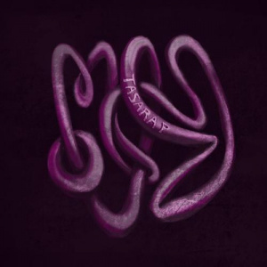 Песня TASARAP – Mass Qyz