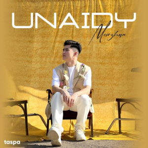 Песня meirzhan – Unaidy