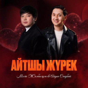 Песня Мәлік Жамбылұлы, Айдын Сәндібай – Айтшы жүрек