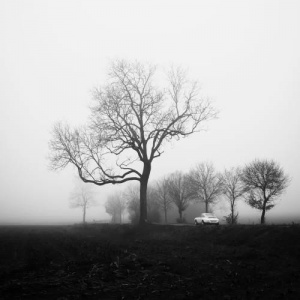 Песня Bella K. – suyq adam