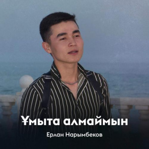 Песня Ерлан Нарымбеков – Ұмыта алмаймын