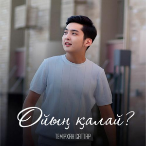 Песня Темірхан Саттар – Ойың қалай