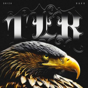 Песня Shiza & Bakr – TER