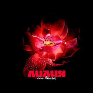Песня Али Ахмет – Лилия