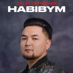 Песня Сагдат Булебаев – HABIBYM