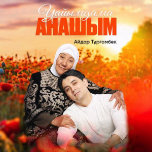 Песня Айдар Тұрғамбек – Уайымдама Анашым