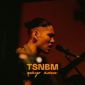 Песня qoñyr äwen – TSNBM