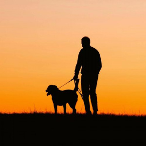 Песня R-One – Solmai ma (Speed Up Version)