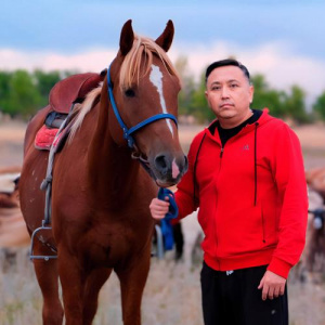 Песня Казбек Идрисов – Туған өлкем