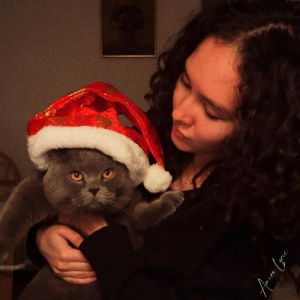 Песня Amira Lyric – Jaña jylda