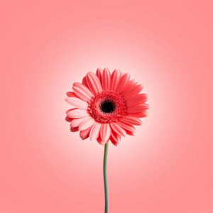 Песня Oiu – tynysym (Speed Up)