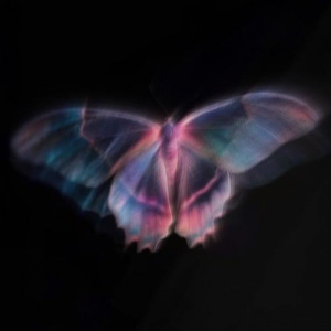 Песня TALLMANE, Alshyn, Bolat, Dia, moona1 – KÖBELEKTER