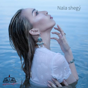 Песня Aziza Hanat – Nala Shegý