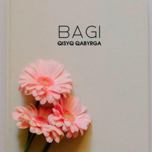 Песня BaGi – Qisyq qabyrga