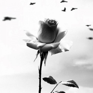 Песня Ulan – Qalqam (Slow Version)